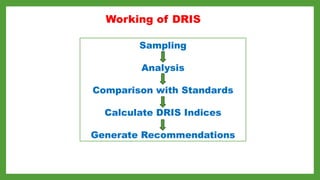 diagnostics, estimation and application of nutrient requirements in ...