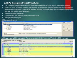 Primavera tutorial presentation .pptx