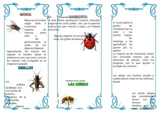 Diversidad y Características de los Artrópodos: Arañas, Insectos y Más ...