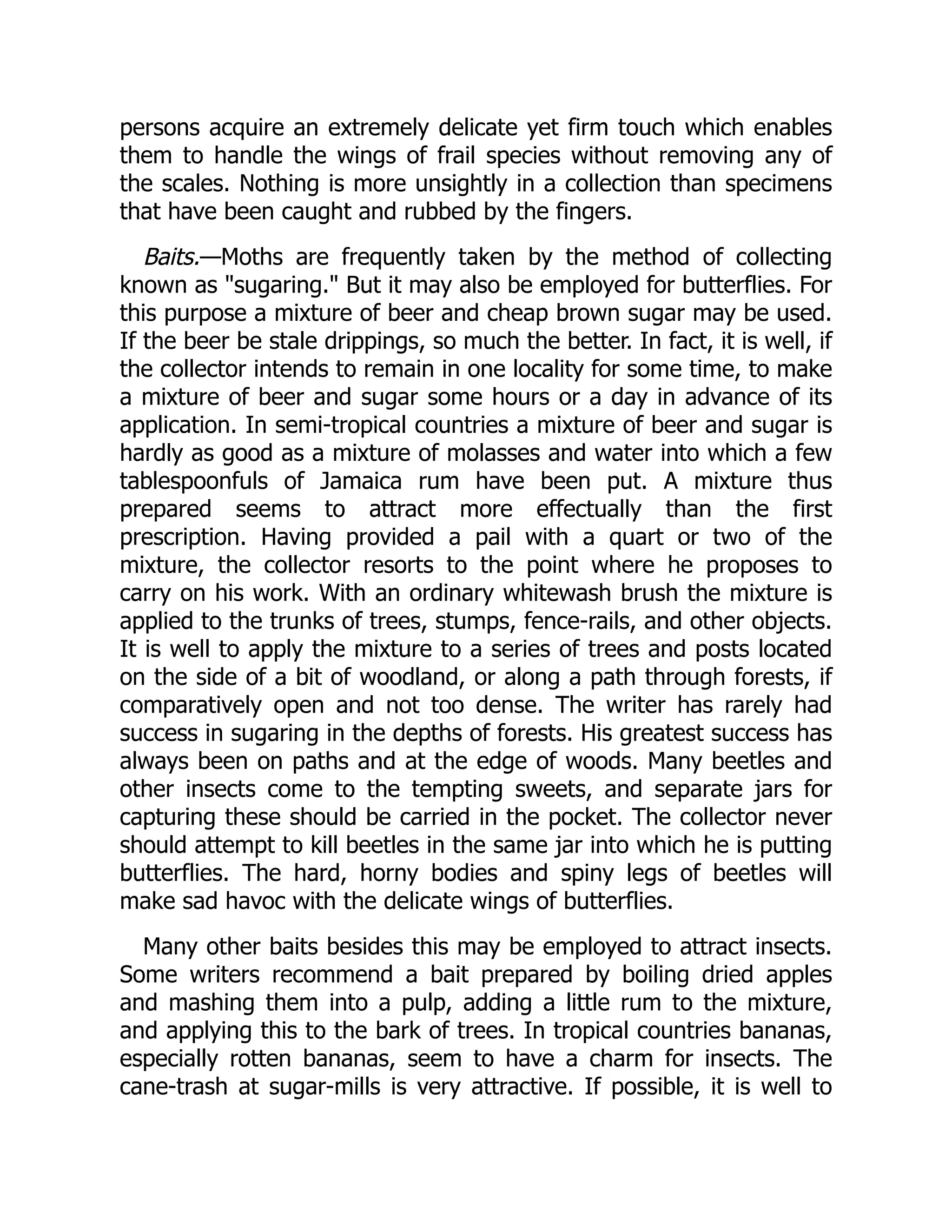 persons acquire an extremely delicate yet firm touch which enables
them to handle the wings of frail species without removing any of
the scales. Nothing is more unsightly in a collection than specimens
that have been caught and rubbed by the fingers.
Baits.—Moths are frequently taken by the method of collecting
known as "sugaring." But it may also be employed for butterflies. For
this purpose a mixture of beer and cheap brown sugar may be used.
If the beer be stale drippings, so much the better. In fact, it is well, if
the collector intends to remain in one locality for some time, to make
a mixture of beer and sugar some hours or a day in advance of its
application. In semi-tropical countries a mixture of beer and sugar is
hardly as good as a mixture of molasses and water into which a few
tablespoonfuls of Jamaica rum have been put. A mixture thus
prepared seems to attract more effectually than the first
prescription. Having provided a pail with a quart or two of the
mixture, the collector resorts to the point where he proposes to
carry on his work. With an ordinary whitewash brush the mixture is
applied to the trunks of trees, stumps, fence-rails, and other objects.
It is well to apply the mixture to a series of trees and posts located
on the side of a bit of woodland, or along a path through forests, if
comparatively open and not too dense. The writer has rarely had
success in sugaring in the depths of forests. His greatest success has
always been on paths and at the edge of woods. Many beetles and
other insects come to the tempting sweets, and separate jars for
capturing these should be carried in the pocket. The collector never
should attempt to kill beetles in the same jar into which he is putting
butterflies. The hard, horny bodies and spiny legs of beetles will
make sad havoc with the delicate wings of butterflies.
Many other baits besides this may be employed to attract insects.
Some writers recommend a bait prepared by boiling dried apples
and mashing them into a pulp, adding a little rum to the mixture,
and applying this to the bark of trees. In tropical countries bananas,
especially rotten bananas, seem to have a charm for insects. The
cane-trash at sugar-mills is very attractive. If possible, it is well to
 