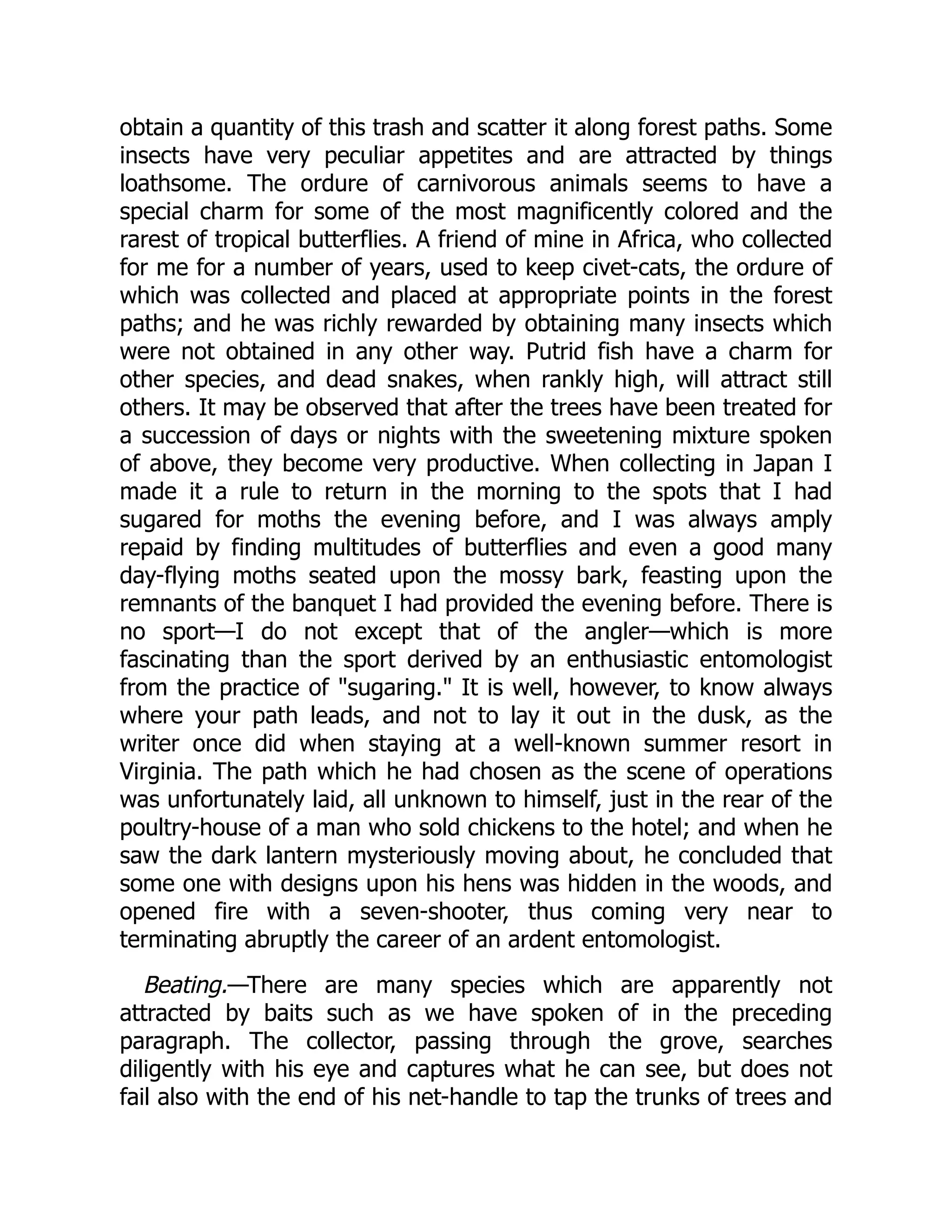 obtain a quantity of this trash and scatter it along forest paths. Some
insects have very peculiar appetites and are attracted by things
loathsome. The ordure of carnivorous animals seems to have a
special charm for some of the most magnificently colored and the
rarest of tropical butterflies. A friend of mine in Africa, who collected
for me for a number of years, used to keep civet-cats, the ordure of
which was collected and placed at appropriate points in the forest
paths; and he was richly rewarded by obtaining many insects which
were not obtained in any other way. Putrid fish have a charm for
other species, and dead snakes, when rankly high, will attract still
others. It may be observed that after the trees have been treated for
a succession of days or nights with the sweetening mixture spoken
of above, they become very productive. When collecting in Japan I
made it a rule to return in the morning to the spots that I had
sugared for moths the evening before, and I was always amply
repaid by finding multitudes of butterflies and even a good many
day-flying moths seated upon the mossy bark, feasting upon the
remnants of the banquet I had provided the evening before. There is
no sport—I do not except that of the angler—which is more
fascinating than the sport derived by an enthusiastic entomologist
from the practice of "sugaring." It is well, however, to know always
where your path leads, and not to lay it out in the dusk, as the
writer once did when staying at a well-known summer resort in
Virginia. The path which he had chosen as the scene of operations
was unfortunately laid, all unknown to himself, just in the rear of the
poultry-house of a man who sold chickens to the hotel; and when he
saw the dark lantern mysteriously moving about, he concluded that
some one with designs upon his hens was hidden in the woods, and
opened fire with a seven-shooter, thus coming very near to
terminating abruptly the career of an ardent entomologist.
Beating.—There are many species which are apparently not
attracted by baits such as we have spoken of in the preceding
paragraph. The collector, passing through the grove, searches
diligently with his eye and captures what he can see, but does not
fail also with the end of his net-handle to tap the trunks of trees and
 
