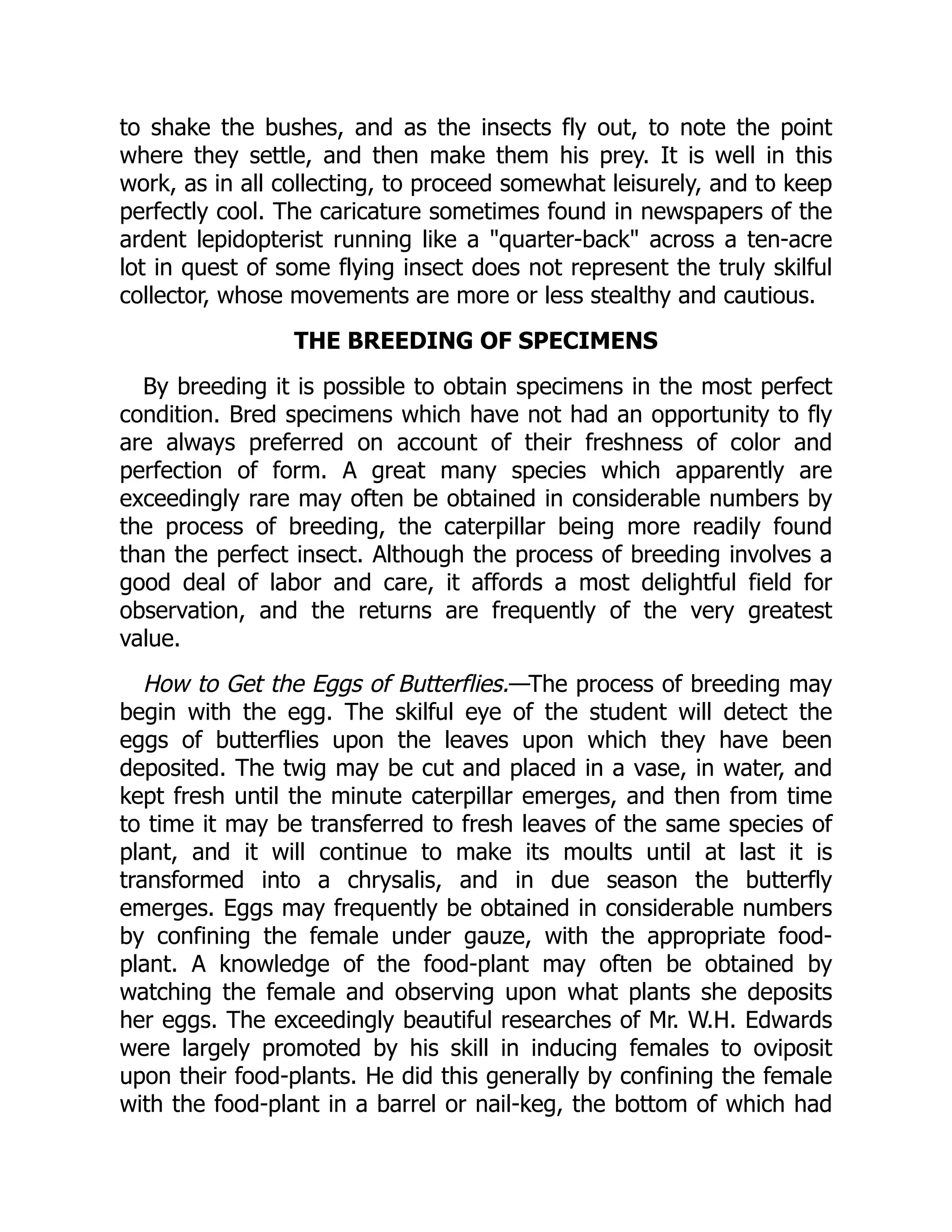 to shake the bushes, and as the insects fly out, to note the point
where they settle, and then make them his prey. It is well in this
work, as in all collecting, to proceed somewhat leisurely, and to keep
perfectly cool. The caricature sometimes found in newspapers of the
ardent lepidopterist running like a "quarter-back" across a ten-acre
lot in quest of some flying insect does not represent the truly skilful
collector, whose movements are more or less stealthy and cautious.
THE BREEDING OF SPECIMENS
By breeding it is possible to obtain specimens in the most perfect
condition. Bred specimens which have not had an opportunity to fly
are always preferred on account of their freshness of color and
perfection of form. A great many species which apparently are
exceedingly rare may often be obtained in considerable numbers by
the process of breeding, the caterpillar being more readily found
than the perfect insect. Although the process of breeding involves a
good deal of labor and care, it affords a most delightful field for
observation, and the returns are frequently of the very greatest
value.
How to Get the Eggs of Butterflies.—The process of breeding may
begin with the egg. The skilful eye of the student will detect the
eggs of butterflies upon the leaves upon which they have been
deposited. The twig may be cut and placed in a vase, in water, and
kept fresh until the minute caterpillar emerges, and then from time
to time it may be transferred to fresh leaves of the same species of
plant, and it will continue to make its moults until at last it is
transformed into a chrysalis, and in due season the butterfly
emerges. Eggs may frequently be obtained in considerable numbers
by confining the female under gauze, with the appropriate food-
plant. A knowledge of the food-plant may often be obtained by
watching the female and observing upon what plants she deposits
her eggs. The exceedingly beautiful researches of Mr. W.H. Edwards
were largely promoted by his skill in inducing females to oviposit
upon their food-plants. He did this generally by confining the female
with the food-plant in a barrel or nail-keg, the bottom of which had
 