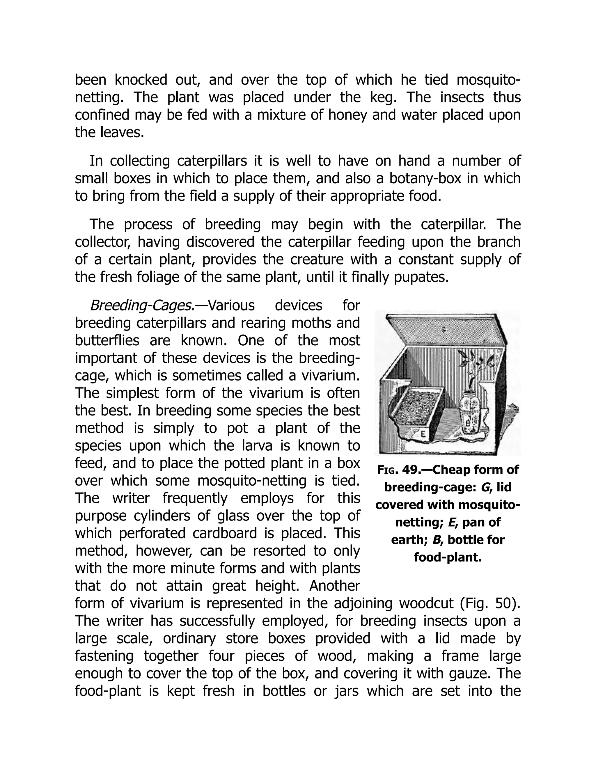 Fig. 49.—Cheap form of
breeding-cage: G, lid
covered with mosquito-
netting; E, pan of
earth; B, bottle for
food-plant.
been knocked out, and over the top of which he tied mosquito-
netting. The plant was placed under the keg. The insects thus
confined may be fed with a mixture of honey and water placed upon
the leaves.
In collecting caterpillars it is well to have on hand a number of
small boxes in which to place them, and also a botany-box in which
to bring from the field a supply of their appropriate food.
The process of breeding may begin with the caterpillar. The
collector, having discovered the caterpillar feeding upon the branch
of a certain plant, provides the creature with a constant supply of
the fresh foliage of the same plant, until it finally pupates.
Breeding-Cages.—Various devices for
breeding caterpillars and rearing moths and
butterflies are known. One of the most
important of these devices is the breeding-
cage, which is sometimes called a vivarium.
The simplest form of the vivarium is often
the best. In breeding some species the best
method is simply to pot a plant of the
species upon which the larva is known to
feed, and to place the potted plant in a box
over which some mosquito-netting is tied.
The writer frequently employs for this
purpose cylinders of glass over the top of
which perforated cardboard is placed. This
method, however, can be resorted to only
with the more minute forms and with plants
that do not attain great height. Another
form of vivarium is represented in the adjoining woodcut (Fig. 50).
The writer has successfully employed, for breeding insects upon a
large scale, ordinary store boxes provided with a lid made by
fastening together four pieces of wood, making a frame large
enough to cover the top of the box, and covering it with gauze. The
food-plant is kept fresh in bottles or jars which are set into the
 