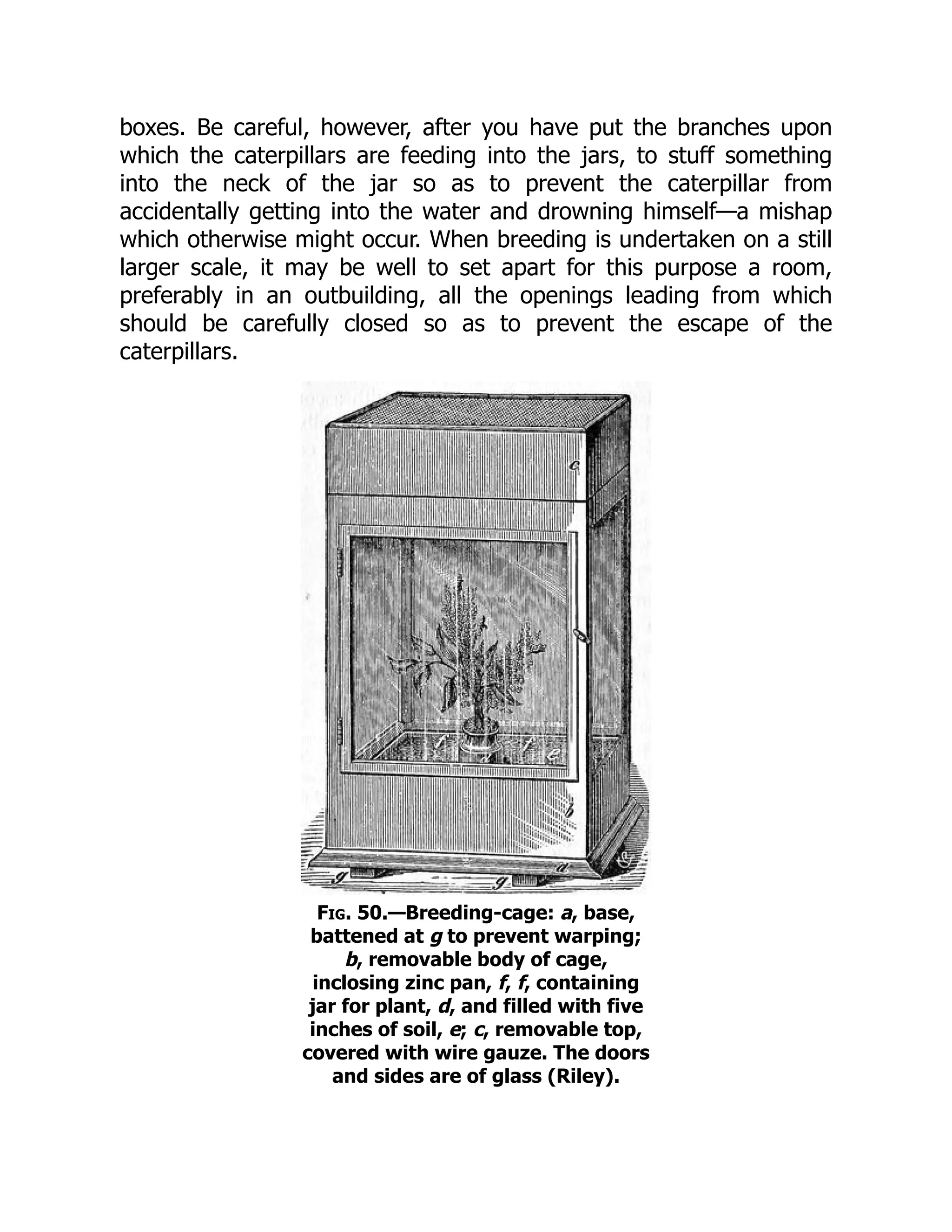 boxes. Be careful, however, after you have put the branches upon
which the caterpillars are feeding into the jars, to stuff something
into the neck of the jar so as to prevent the caterpillar from
accidentally getting into the water and drowning himself—a mishap
which otherwise might occur. When breeding is undertaken on a still
larger scale, it may be well to set apart for this purpose a room,
preferably in an outbuilding, all the openings leading from which
should be carefully closed so as to prevent the escape of the
caterpillars.
Fig. 50.—Breeding-cage: a, base,
battened at g to prevent warping;
b, removable body of cage,
inclosing zinc pan, f, f, containing
jar for plant, d, and filled with five
inches of soil, e; c, removable top,
covered with wire gauze. The doors
and sides are of glass (Riley).
 