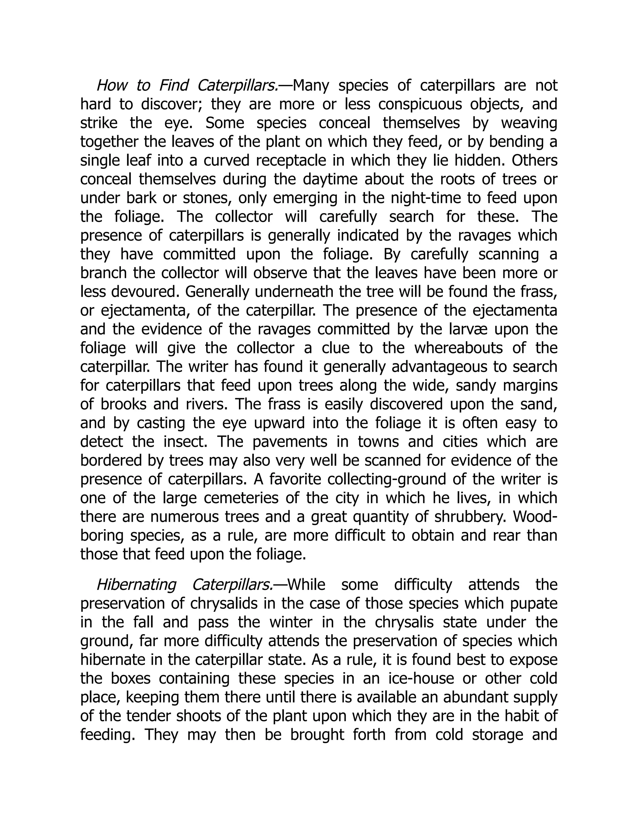 How to Find Caterpillars.—Many species of caterpillars are not
hard to discover; they are more or less conspicuous objects, and
strike the eye. Some species conceal themselves by weaving
together the leaves of the plant on which they feed, or by bending a
single leaf into a curved receptacle in which they lie hidden. Others
conceal themselves during the daytime about the roots of trees or
under bark or stones, only emerging in the night-time to feed upon
the foliage. The collector will carefully search for these. The
presence of caterpillars is generally indicated by the ravages which
they have committed upon the foliage. By carefully scanning a
branch the collector will observe that the leaves have been more or
less devoured. Generally underneath the tree will be found the frass,
or ejectamenta, of the caterpillar. The presence of the ejectamenta
and the evidence of the ravages committed by the larvæ upon the
foliage will give the collector a clue to the whereabouts of the
caterpillar. The writer has found it generally advantageous to search
for caterpillars that feed upon trees along the wide, sandy margins
of brooks and rivers. The frass is easily discovered upon the sand,
and by casting the eye upward into the foliage it is often easy to
detect the insect. The pavements in towns and cities which are
bordered by trees may also very well be scanned for evidence of the
presence of caterpillars. A favorite collecting-ground of the writer is
one of the large cemeteries of the city in which he lives, in which
there are numerous trees and a great quantity of shrubbery. Wood-
boring species, as a rule, are more difficult to obtain and rear than
those that feed upon the foliage.
Hibernating Caterpillars.—While some difficulty attends the
preservation of chrysalids in the case of those species which pupate
in the fall and pass the winter in the chrysalis state under the
ground, far more difficulty attends the preservation of species which
hibernate in the caterpillar state. As a rule, it is found best to expose
the boxes containing these species in an ice-house or other cold
place, keeping them there until there is available an abundant supply
of the tender shoots of the plant upon which they are in the habit of
feeding. They may then be brought forth from cold storage and
 