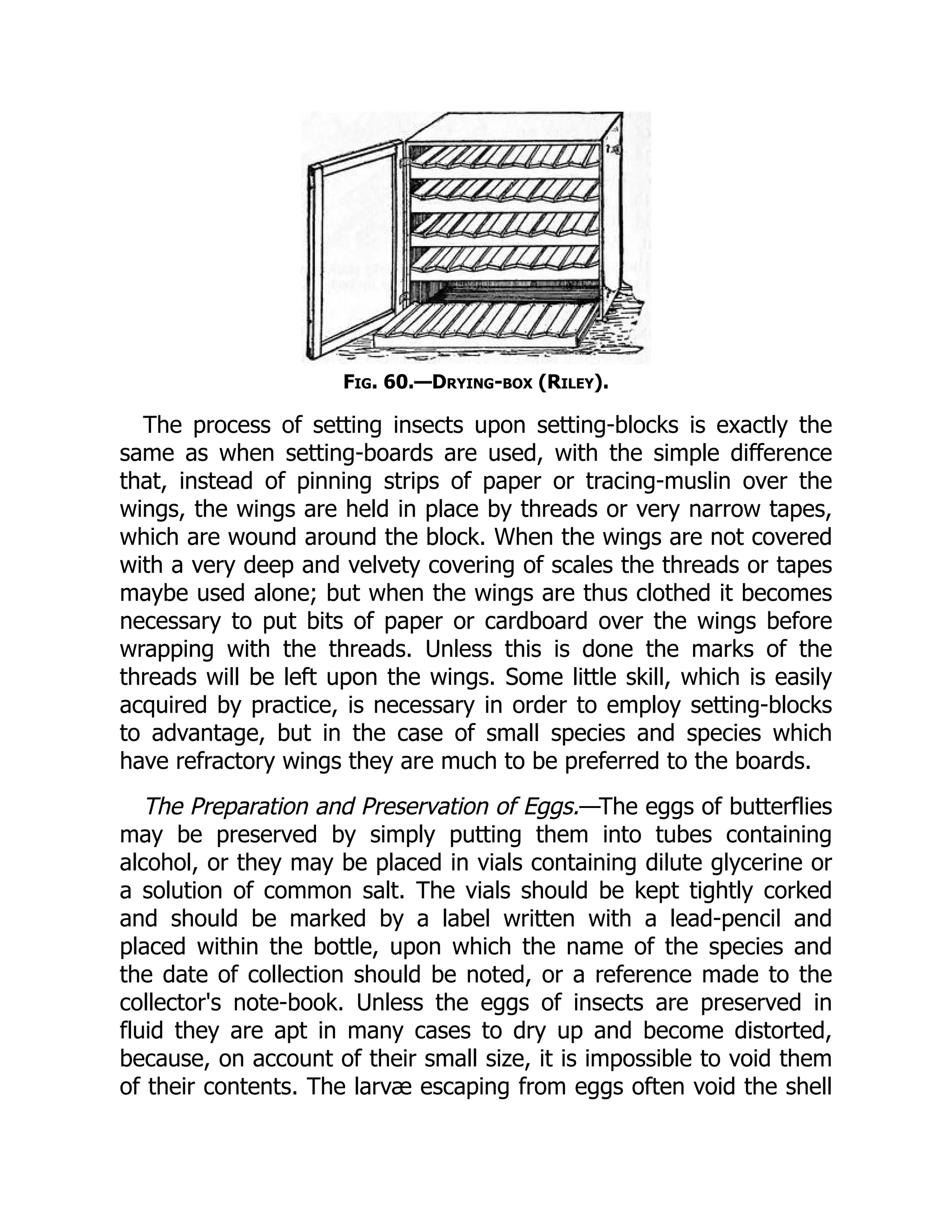 Fig. 60.—Drying-box (Riley).
The process of setting insects upon setting-blocks is exactly the
same as when setting-boards are used, with the simple difference
that, instead of pinning strips of paper or tracing-muslin over the
wings, the wings are held in place by threads or very narrow tapes,
which are wound around the block. When the wings are not covered
with a very deep and velvety covering of scales the threads or tapes
maybe used alone; but when the wings are thus clothed it becomes
necessary to put bits of paper or cardboard over the wings before
wrapping with the threads. Unless this is done the marks of the
threads will be left upon the wings. Some little skill, which is easily
acquired by practice, is necessary in order to employ setting-blocks
to advantage, but in the case of small species and species which
have refractory wings they are much to be preferred to the boards.
The Preparation and Preservation of Eggs.—The eggs of butterflies
may be preserved by simply putting them into tubes containing
alcohol, or they may be placed in vials containing dilute glycerine or
a solution of common salt. The vials should be kept tightly corked
and should be marked by a label written with a lead-pencil and
placed within the bottle, upon which the name of the species and
the date of collection should be noted, or a reference made to the
collector's note-book. Unless the eggs of insects are preserved in
fluid they are apt in many cases to dry up and become distorted,
because, on account of their small size, it is impossible to void them
of their contents. The larvæ escaping from eggs often void the shell
 