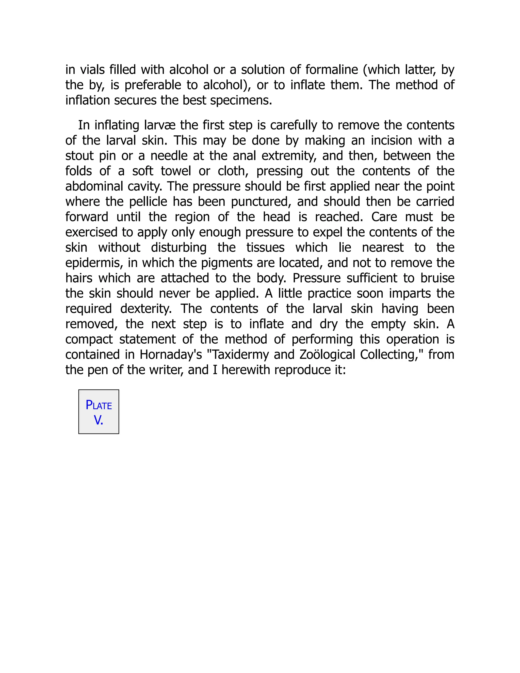 in vials filled with alcohol or a solution of formaline (which latter, by
the by, is preferable to alcohol), or to inflate them. The method of
inflation secures the best specimens.
In inflating larvæ the first step is carefully to remove the contents
of the larval skin. This may be done by making an incision with a
stout pin or a needle at the anal extremity, and then, between the
folds of a soft towel or cloth, pressing out the contents of the
abdominal cavity. The pressure should be first applied near the point
where the pellicle has been punctured, and should then be carried
forward until the region of the head is reached. Care must be
exercised to apply only enough pressure to expel the contents of the
skin without disturbing the tissues which lie nearest to the
epidermis, in which the pigments are located, and not to remove the
hairs which are attached to the body. Pressure sufficient to bruise
the skin should never be applied. A little practice soon imparts the
required dexterity. The contents of the larval skin having been
removed, the next step is to inflate and dry the empty skin. A
compact statement of the method of performing this operation is
contained in Hornaday's "Taxidermy and Zoölogical Collecting," from
the pen of the writer, and I herewith reproduce it:
Plate
V.
 