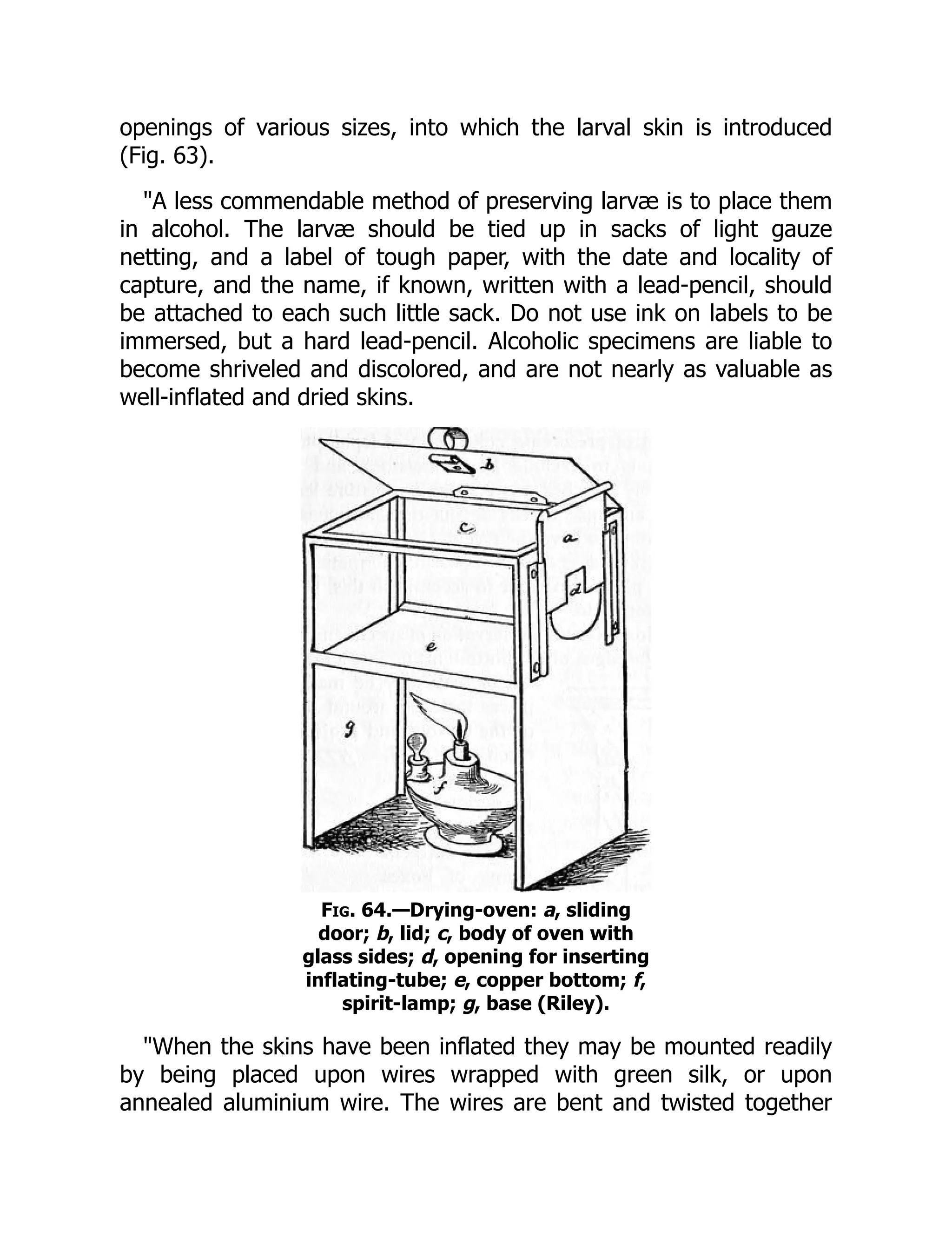 openings of various sizes, into which the larval skin is introduced
(Fig. 63).
"A less commendable method of preserving larvæ is to place them
in alcohol. The larvæ should be tied up in sacks of light gauze
netting, and a label of tough paper, with the date and locality of
capture, and the name, if known, written with a lead-pencil, should
be attached to each such little sack. Do not use ink on labels to be
immersed, but a hard lead-pencil. Alcoholic specimens are liable to
become shriveled and discolored, and are not nearly as valuable as
well-inflated and dried skins.
Fig. 64.—Drying-oven: a, sliding
door; b, lid; c, body of oven with
glass sides; d, opening for inserting
inflating-tube; e, copper bottom; f,
spirit-lamp; g, base (Riley).
"When the skins have been inflated they may be mounted readily
by being placed upon wires wrapped with green silk, or upon
annealed aluminium wire. The wires are bent and twisted together
 