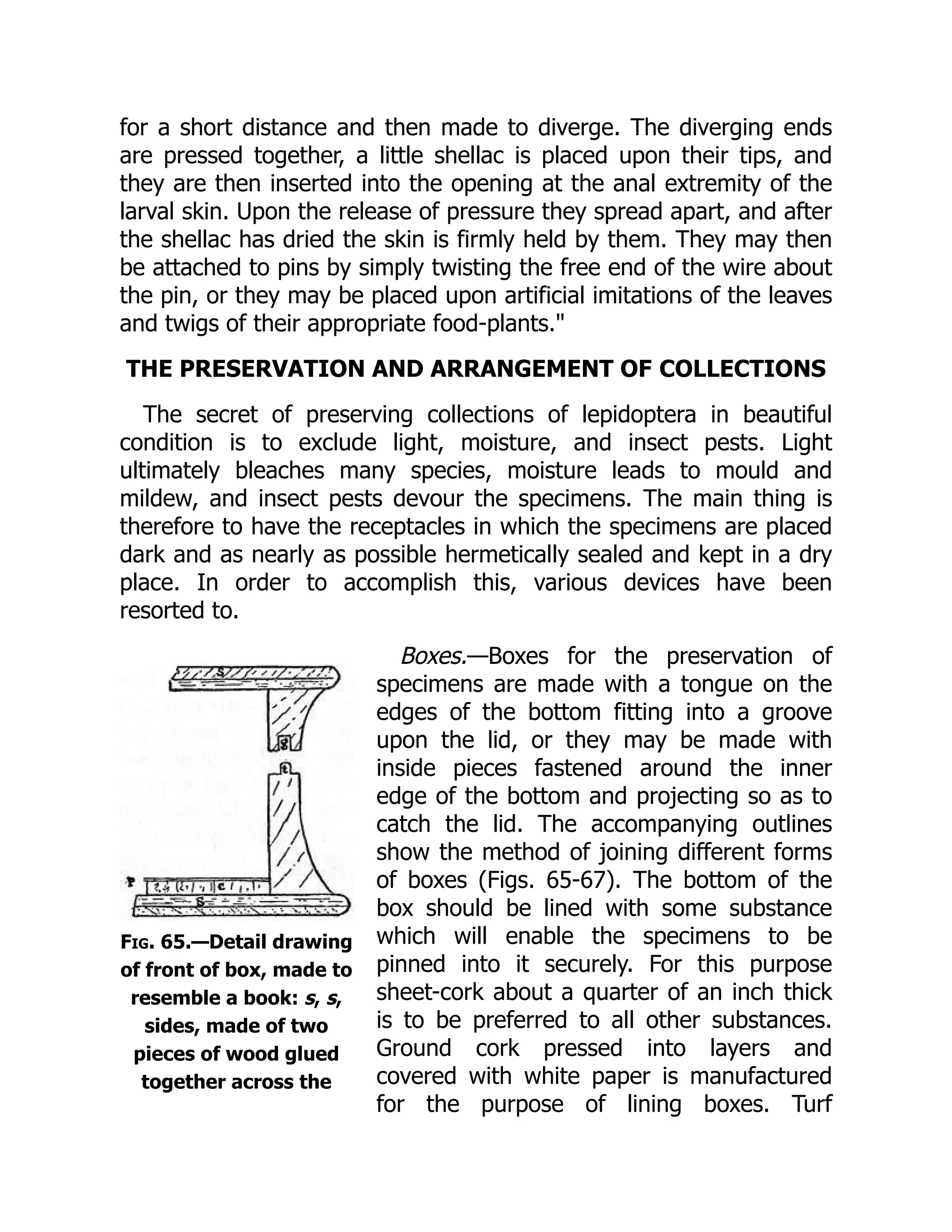 Fig. 65.—Detail drawing
of front of box, made to
resemble a book: s, s,
sides, made of two
pieces of wood glued
together across the
for a short distance and then made to diverge. The diverging ends
are pressed together, a little shellac is placed upon their tips, and
they are then inserted into the opening at the anal extremity of the
larval skin. Upon the release of pressure they spread apart, and after
the shellac has dried the skin is firmly held by them. They may then
be attached to pins by simply twisting the free end of the wire about
the pin, or they may be placed upon artificial imitations of the leaves
and twigs of their appropriate food-plants."
THE PRESERVATION AND ARRANGEMENT OF COLLECTIONS
The secret of preserving collections of lepidoptera in beautiful
condition is to exclude light, moisture, and insect pests. Light
ultimately bleaches many species, moisture leads to mould and
mildew, and insect pests devour the specimens. The main thing is
therefore to have the receptacles in which the specimens are placed
dark and as nearly as possible hermetically sealed and kept in a dry
place. In order to accomplish this, various devices have been
resorted to.
Boxes.—Boxes for the preservation of
specimens are made with a tongue on the
edges of the bottom fitting into a groove
upon the lid, or they may be made with
inside pieces fastened around the inner
edge of the bottom and projecting so as to
catch the lid. The accompanying outlines
show the method of joining different forms
of boxes (Figs. 65-67). The bottom of the
box should be lined with some substance
which will enable the specimens to be
pinned into it securely. For this purpose
sheet-cork about a quarter of an inch thick
is to be preferred to all other substances.
Ground cork pressed into layers and
covered with white paper is manufactured
for the purpose of lining boxes. Turf
 