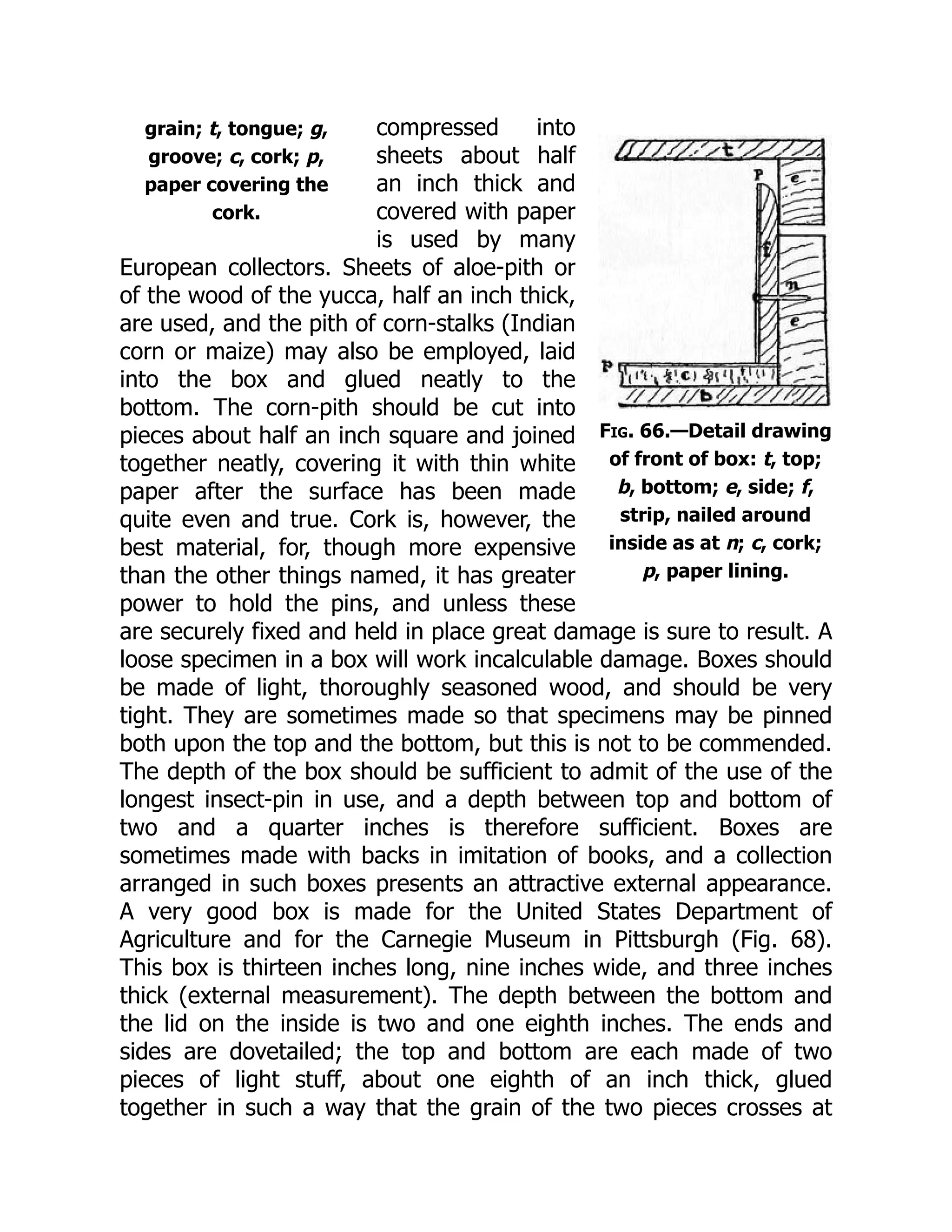 grain; t, tongue; g,
groove; c, cork; p,
paper covering the
cork.
Fig. 66.—Detail drawing
of front of box: t, top;
b, bottom; e, side; f,
strip, nailed around
inside as at n; c, cork;
p, paper lining.
compressed into
sheets about half
an inch thick and
covered with paper
is used by many
European collectors. Sheets of aloe-pith or
of the wood of the yucca, half an inch thick,
are used, and the pith of corn-stalks (Indian
corn or maize) may also be employed, laid
into the box and glued neatly to the
bottom. The corn-pith should be cut into
pieces about half an inch square and joined
together neatly, covering it with thin white
paper after the surface has been made
quite even and true. Cork is, however, the
best material, for, though more expensive
than the other things named, it has greater
power to hold the pins, and unless these
are securely fixed and held in place great damage is sure to result. A
loose specimen in a box will work incalculable damage. Boxes should
be made of light, thoroughly seasoned wood, and should be very
tight. They are sometimes made so that specimens may be pinned
both upon the top and the bottom, but this is not to be commended.
The depth of the box should be sufficient to admit of the use of the
longest insect-pin in use, and a depth between top and bottom of
two and a quarter inches is therefore sufficient. Boxes are
sometimes made with backs in imitation of books, and a collection
arranged in such boxes presents an attractive external appearance.
A very good box is made for the United States Department of
Agriculture and for the Carnegie Museum in Pittsburgh (Fig. 68).
This box is thirteen inches long, nine inches wide, and three inches
thick (external measurement). The depth between the bottom and
the lid on the inside is two and one eighth inches. The ends and
sides are dovetailed; the top and bottom are each made of two
pieces of light stuff, about one eighth of an inch thick, glued
together in such a way that the grain of the two pieces crosses at
 