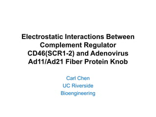 Electrostatic Interactions Between
Complement Regulator
CD46(SCR1-2) and Adenovirus
Ad11/Ad21 Fiber Protein Knob
Carl Chen
UC Riverside
Bioengineering
 