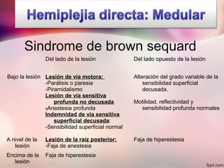 Sindrome de brown sequard
Del lado de la lesión Del lado opuesto de la lesión
Bajo la lesión Lesión de vía motora:
-Parálisis o paresia
-Piramidalismo
Lesión de vía sensitiva
profunda no decusada
-Anestesia profunda
Indemnidad de via sensitiva
superficial decusada:
-Sensibilidad superficial normal
Alteración del grado variable de la
sensibilidad superficial
decusada.
Motilidad, reflectividad y
sensibilidad profunda normales
A nivel de la
lesión
Lesión de la raíz posterior:
-Faja de anestesia
Faja de hiperestesia
Encima de la
lesión
Faja de hiperestesia
 