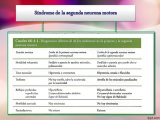 sindrome piramidal y extrapiramidal
