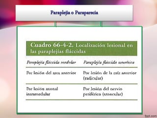 sindrome piramidal y extrapiramidal