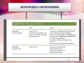 sindrome piramidal y extrapiramidal