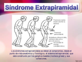 Lossíndromesextrapiramidalessedeben al compromiso, desdeel
punto devistaanatómico y fisiológico, el sistemaextrapiramidal, que
estáconstituido por losgangliosbasales(núcleosgrises) y sus
conexiones.
 