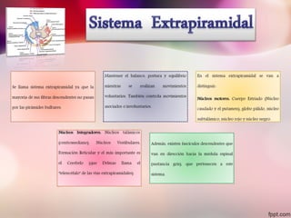sindrome piramidal y extrapiramidal