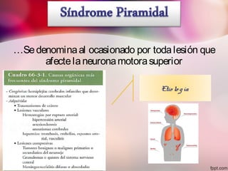 …Sedenominaal ocasionado por todalesión que
afectelaneuronamotorasuperior
Etio lo gía
 