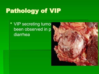 Vipoma Rash 2493284787644674336788655-GI-Hormones.pptx