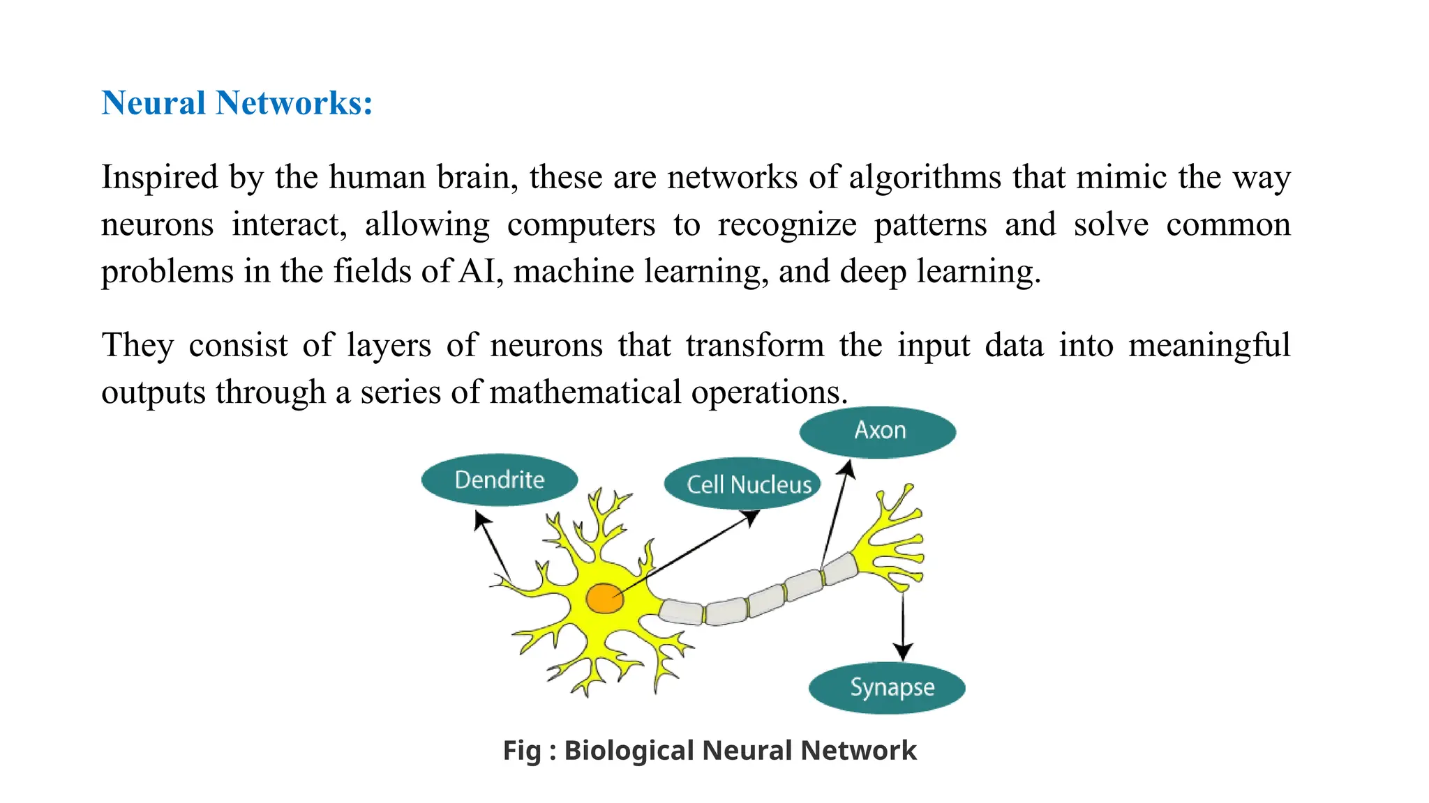 Neural Networks:
Inspired by the human brain, these are networks of algorithms that mimic the way
neurons interact, allowing computers to recognize patterns and solve common
problems in the fields of AI, machine learning, and deep learning.
They consist of layers of neurons that transform the input data into meaningful
outputs through a series of mathematical operations.
Fig : Biological Neural Network
 