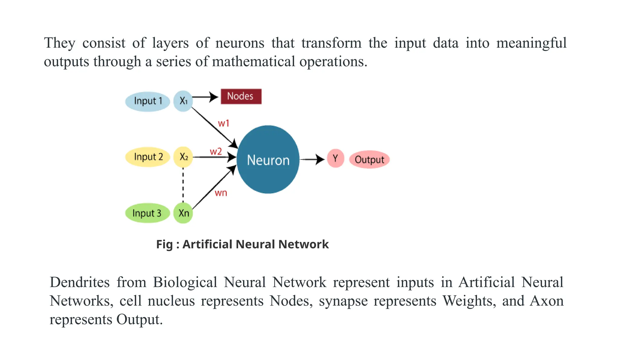 They consist of layers of neurons that transform the input data into meaningful
outputs through a series of mathematical operations.
Fig : Artificial Neural Network
Dendrites from Biological Neural Network represent inputs in Artificial Neural
Networks, cell nucleus represents Nodes, synapse represents Weights, and Axon
represents Output.
 