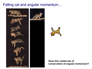 Does this violate law of
conservation of angular momentum?
Falling cat and angular momentum…
 