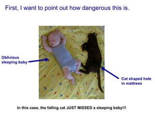 First, I want to point out how dangerous this is.
In this case, the falling cat JUST MISSED a sleeping baby!!!
Cat shaped hole
in mattress
Oblivious
sleeping baby
 
