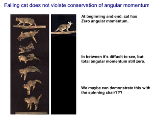 At beginning and end, cat has
Zero angular momentum.
In between it’s diffuclt to see, but
total angular momentum still zero.
We maybe can demonstrate this with
the spinning chair???
Falling cat does not violate conservation of angular momentum
 