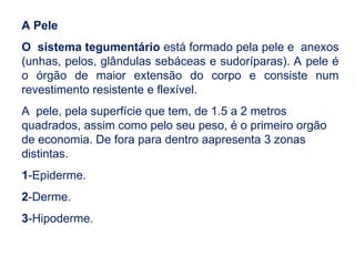 A Pele
O sistema tegumentário está formado pela pele e anexos
(unhas, pelos, glândulas sebáceas e sudoríparas). A pele é
o órgão de maior extensão do corpo e consiste num
revestimento resistente e flexível.
A pele, pela superfície que tem, de 1.5 a 2 metros
quadrados, assim como pelo seu peso, é o primeiro orgão
de economia. De fora para dentro aapresenta 3 zonas
distintas.
1-Epiderme.
2-Derme.
3-Hipoderme.
 