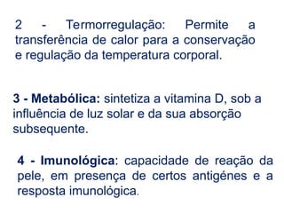 2 - Termorregulação: Permite a
transferência de calor para a conservação
e regulação da temperatura corporal.
3 - Metabólica: sintetiza a vitamina D, sob a
influência de luz solar e da sua absorção
subsequente.
4 - Imunológica: capacidade de reação da
pele, em presença de certos antigénes e a
resposta imunológica.
 