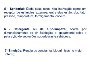 5 - Sensorial: Dada seus actos rica inervação como um
receptor de estímulos externos, entre elas estão: dor, tato,
pressão, temperatura, formigamento, coceira.
6 - Detergente ou de auto-limpeza: ocorre por
dimensionamento do pH fisiológico e ligeiramente ácido e
pela ação de secreções sudoríparas e sebáceas.
7- Emulsão: Regula as constantes bioquímicas no meio
interno.
 
