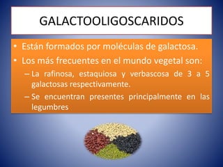 GALACTOOLIGOSCARIDOS 
• Están formados por moléculas de galactosa. 
• Los más frecuentes en el mundo vegetal son: 
– La rafinosa, estaquiosa y verbascosa de 3 a 5 
galactosas respectivamente. 
– Se encuentran presentes principalmente en las 
legumbres 
 