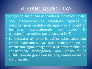 SUSTANCIAS PECTICAS 
• Grupo de sustancias asociadas a la hemicelulosa. 
• Son macromoléculas coloidales capaces de 
absorber gran cantidad de agua y se encuentran 
formadas esencialmente por ácido D-galacturónico 
unidos por enlaces α (1-4). 
• La industria alimentaria utiliza estas sustancias 
como espesantes, ya que incorporan en su 
estructura agua otorgando a la preparación una 
consistencia homogénea que posibilita la 
sustitución de grasas en lácteos, crema de leche, 
yogures, etc. 
 