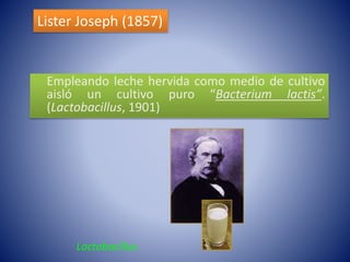 Lister Joseph (1857) 
Empleando leche hervida como medio de cultivo 
aisló un cultivo puro “Bacterium lactis”. 
(Lactobacillus, 1901) 
Lactobacillus 
 