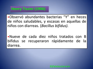 Henry Tissier (1906) 
•Observó abundantes bacterias “Y” en heces 
de niños saludables, y escasas en aquellas de 
niños con diarreas. (Bacillus bifidus). 
•Nueve de cada diez niños tratados con B 
bifidus se recuperaron rápidamente de la 
diarrea. 
Bifidobacterium 
 