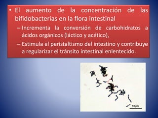 • El aumento de la concentración de las 
bifidobacterias en la flora intestinal 
– Incrementa la conversión de carbohidratos a 
ácidos orgánicos (láctico y acético), 
– Estimula el peristaltismo del intestino y contribuye 
a regularizar el tránsito intestinal enlentecido. 
 