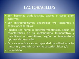 LACTOBACILLUS 
• Son bacterias ácido-lácticas, bacilos o cocos gram 
positivos. 
• Son microorganismos anaerobios y/o tolerantes a 
condiciones aerobias. 
• Pueden ser homo o heterofermentativos, según las 
características de su metabolismo fermentativo y 
mesofílicos o termofílicos, según las temperaturas 
óptimas de desarrollo. 
• Otra característica es su capacidad de adherirse a las 
mucosas y producir sustancias bacteriostáticas y/o 
• bactericidas 
 