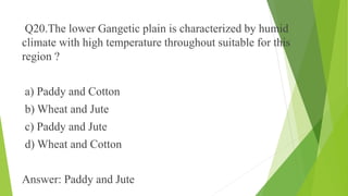 Q20.The lower Gangetic plain is characterized by humid 
climate with high temperature throughout suitable for this 
region ? 
a) Paddy and Cotton 
b) Wheat and Jute 
c) Paddy and Jute 
d) Wheat and Cotton 
Answer: Paddy and Jute 
 