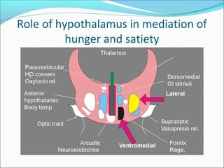 Role of hypothalamus in mediation of
hunger and satiety
 