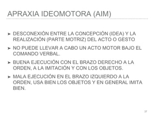 APRAXIA IDEOMOTORA (AIM)
37
➤ DESCONEXIÓN ENTRE LA CONCEPCIÓN (IDEA) Y LA
REALIZACIÓN (PARTE MOTRIZ) DEL ACTO O GESTO
➤ NO PUEDE LLEVAR A CABO UN ACTO MOTOR BAJO EL
COMANDO VERBAL.
➤ BUENA EJECUCIÓN CON EL BRAZO DERECHO A LA
ORDEN, A LA IMITACIÓN Y CON LOS OBJETOS.
➤ MALA EJECUCIÓN EN EL BRAZO IZQUIERDO A LA
ORDEN, USA BIEN LOS OBJETOS Y EN GENERAL IMITA
BIEN.
 