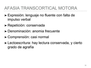 AFASIA TRANSCORTICAL MOTORA
55
➤ Expresión: lenguaje no fluente con falta de
impulso verbal
➤ Repetición: conservada
➤ Denominación: anomia frecuente
➤ Comprensión: casi normal
➤ Lectoescritura: hay lectura conservada, y cierto
grado de agrafía
 