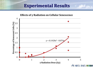 Experimental Results
y = 0.1428x2 - 0.074x
0
0.5
1
1.5
2
2.5
3
3.5
4
0 1 2 3 4 5
PercentageofSenescentCells(%)
γ Radiation Dose (Gy)
Effects of γ Radiation on Cellular Senescence
 