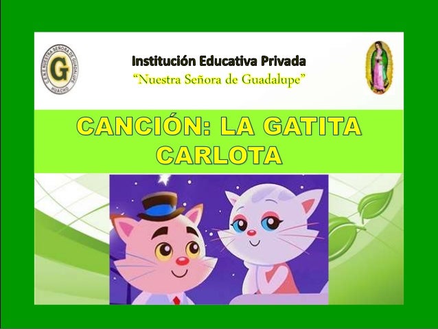 24 cancion la gatita carlota