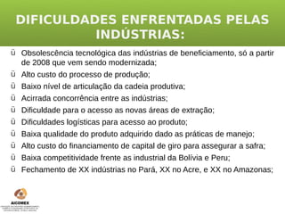 DIFICULDADES ENFRENTADAS PELAS
           INDÚSTRIAS:
ü Obsolescência tecnológica das indústrias de beneficiamento, só a partir
  de 2008 que vem sendo modernizada;
ü Alto custo do processo de produção;
ü Baixo nível de articulação da cadeia produtiva;
ü   Acirrada concorrência entre as indústrias;
ü   Dificuldade para o acesso as novas áreas de extração;
ü   Dificuldades logísticas para acesso ao produto;
ü Baixa qualidade do produto adquirido dado as práticas de manejo;
ü Alto custo do financiamento de capital de giro para assegurar a safra;
ü Baixa competitividade frente as industrial da Bolívia e Peru;
ü Fechamento de XX indústrias no Pará, XX no Acre, e XX no Amazonas;
 