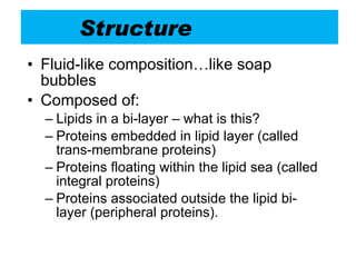 Structure   Fluid-like composition…like soap bubbles Composed of: Lipids in a bi-layer – what is this? Proteins embedded in lipid layer (called trans-membrane proteins) Proteins floating within the lipid sea (called integral proteins) Proteins associated outside the lipid bi-layer (peripheral proteins).  
