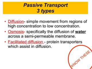 Passive Transport 3 types Diffusion - simple movement from regions of high concentration to low concentration. Osmosis -  specifically the diffusion of  water  across a semi-permeable membrane. Facilitated diffusion  - protein transporters which assist in diffusion. KNOW THESE 