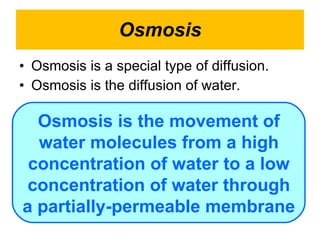 Osmosis Osmosis is a special type of diffusion.  Osmosis is the diffusion of water.  Osmosis is the movement of water molecules from a high concentration of water to a low concentration of water through a partially-permeable membrane 