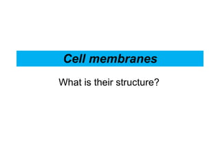 Cell membranes What is their structure? 