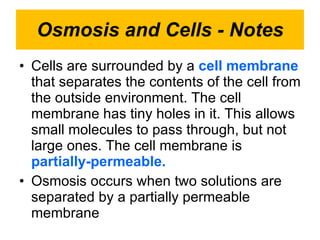 Osmosis and Cells - Notes Cells are surrounded by a  cell membrane  that separates the contents of the cell from the outside environment. The cell membrane has tiny holes in it. This allows small molecules to pass through, but not large ones. The cell membrane is  partially-permeable. Osmosis occurs when two solutions are separated by a partially permeable  membrane 