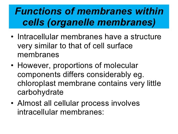 2 4 cell membrane and transport tiny charts that fit within a cell